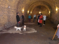 City Wall Walk Image 3