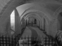 Winchester-Cath-3a